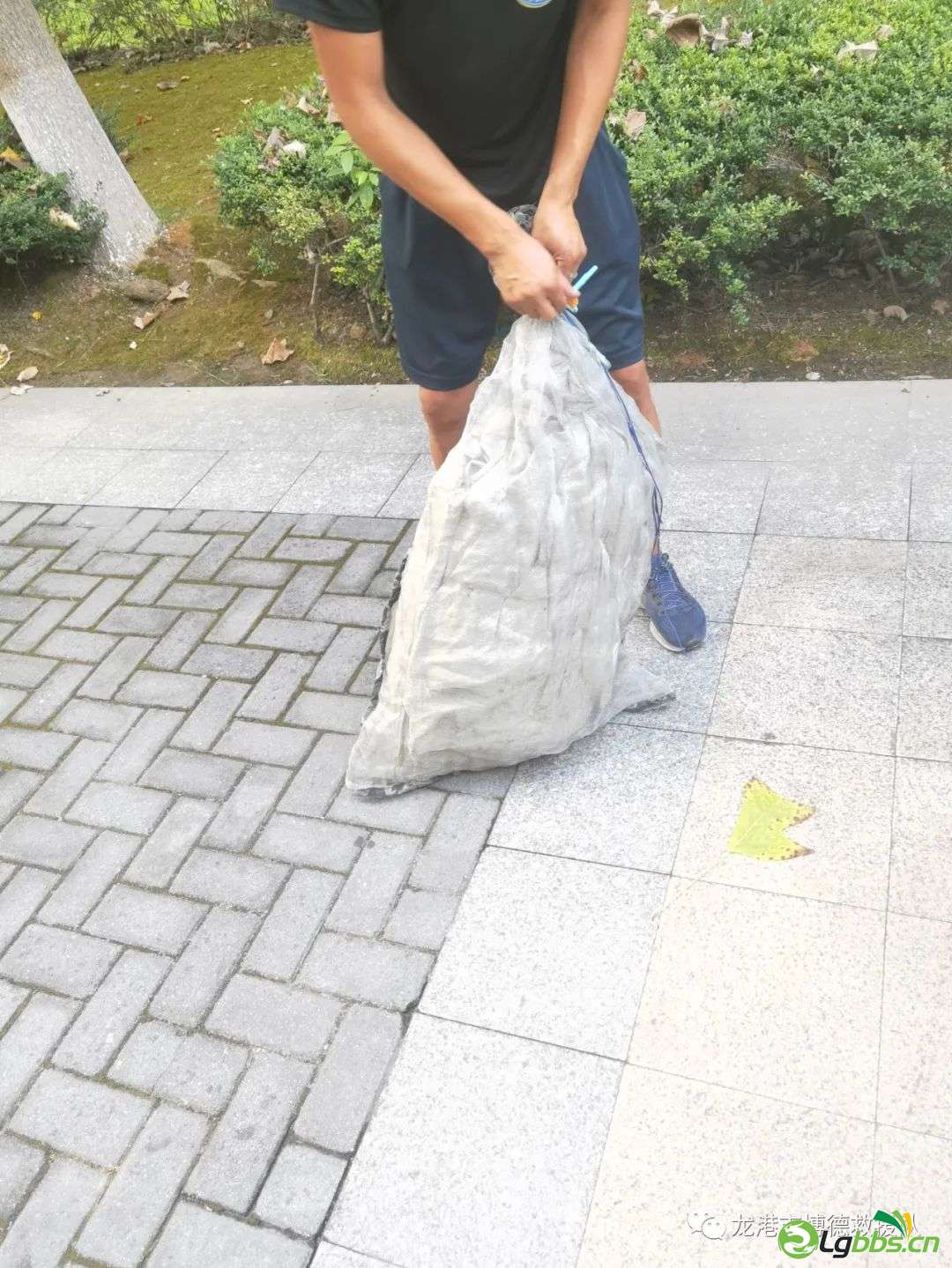 014318bhiikiihokrjck7k.jpeg