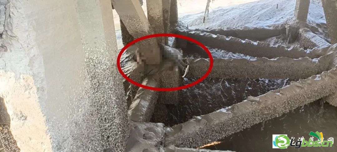 051911s85596bk825594ff.jpeg