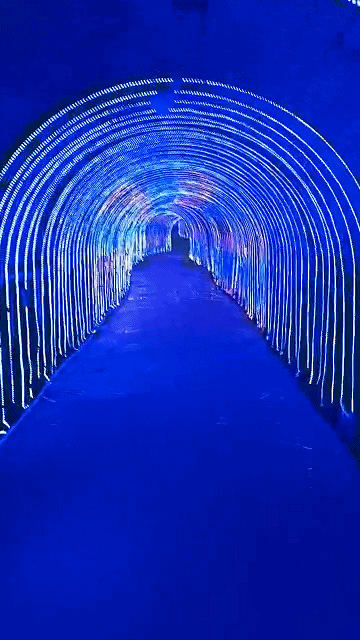 064408e9uwc5s51yswkcf6.gif