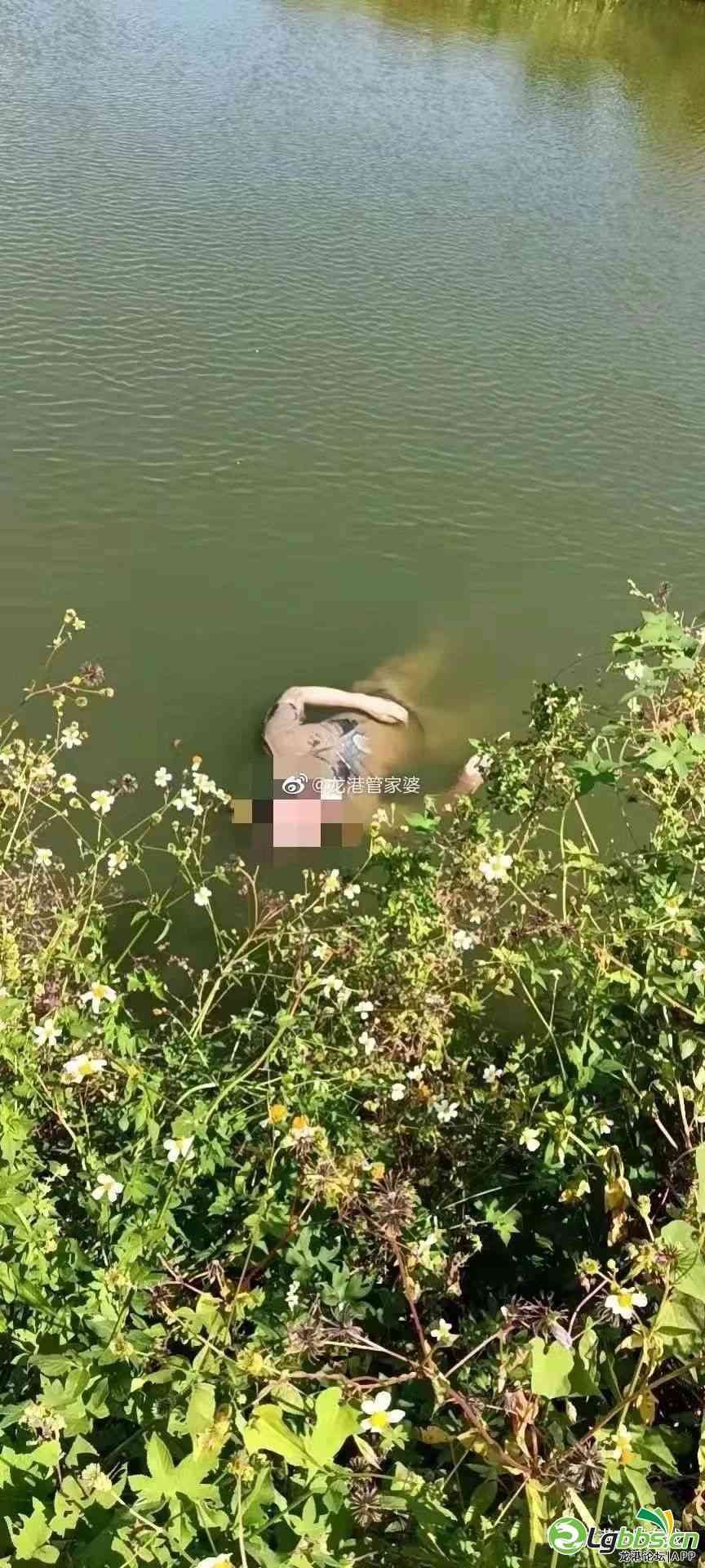 052018nq0c5z9yy0zu3y3l.jpeg