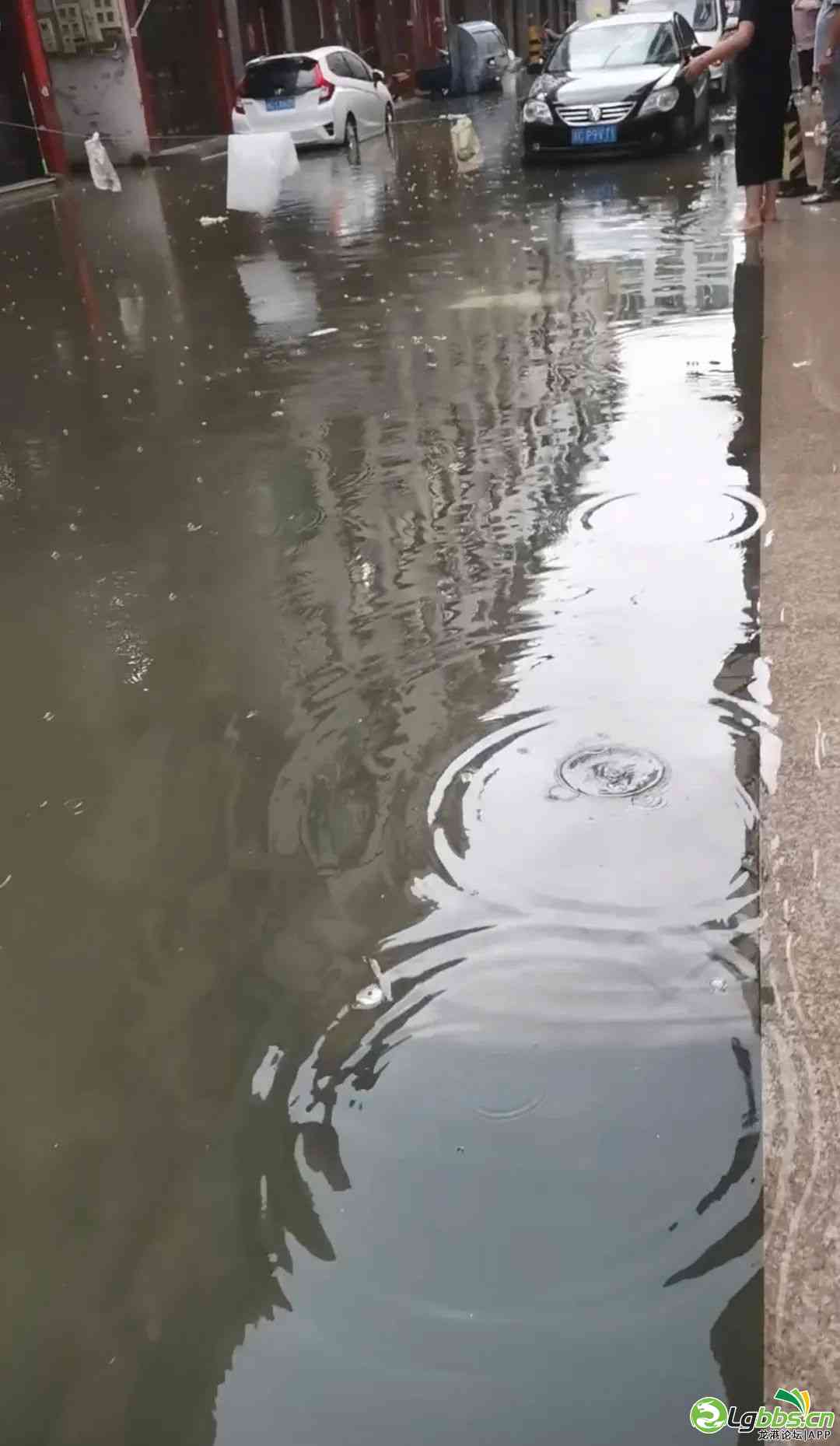 040848a2m46idce88jv6se.jpeg