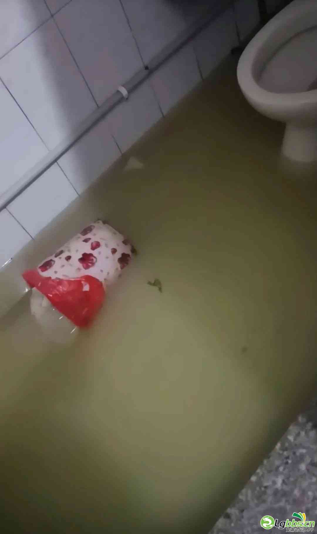 040848xpveqevzrqci3n1c.jpeg