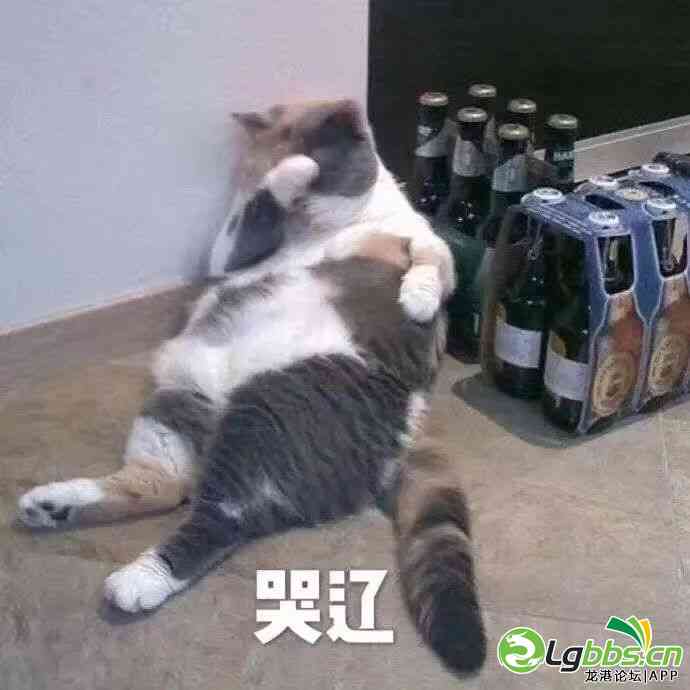 081059tkvgknvsg2zceeha.jpeg