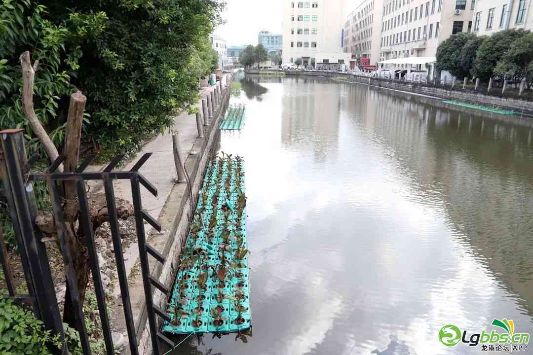 090932d3crc777cxrqyqmn.jpeg