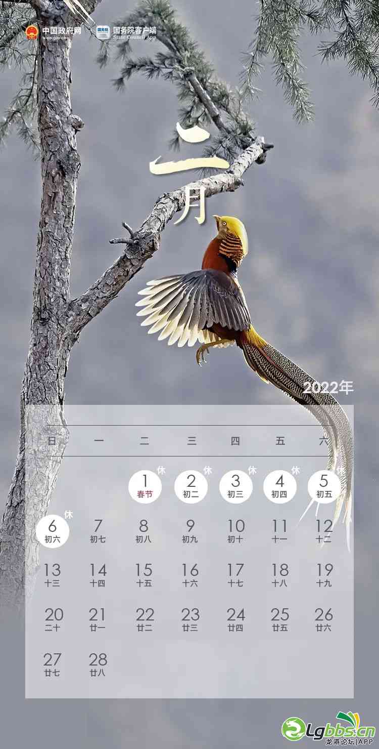 091151fs4dfx9dwbv4c7jb.jpeg