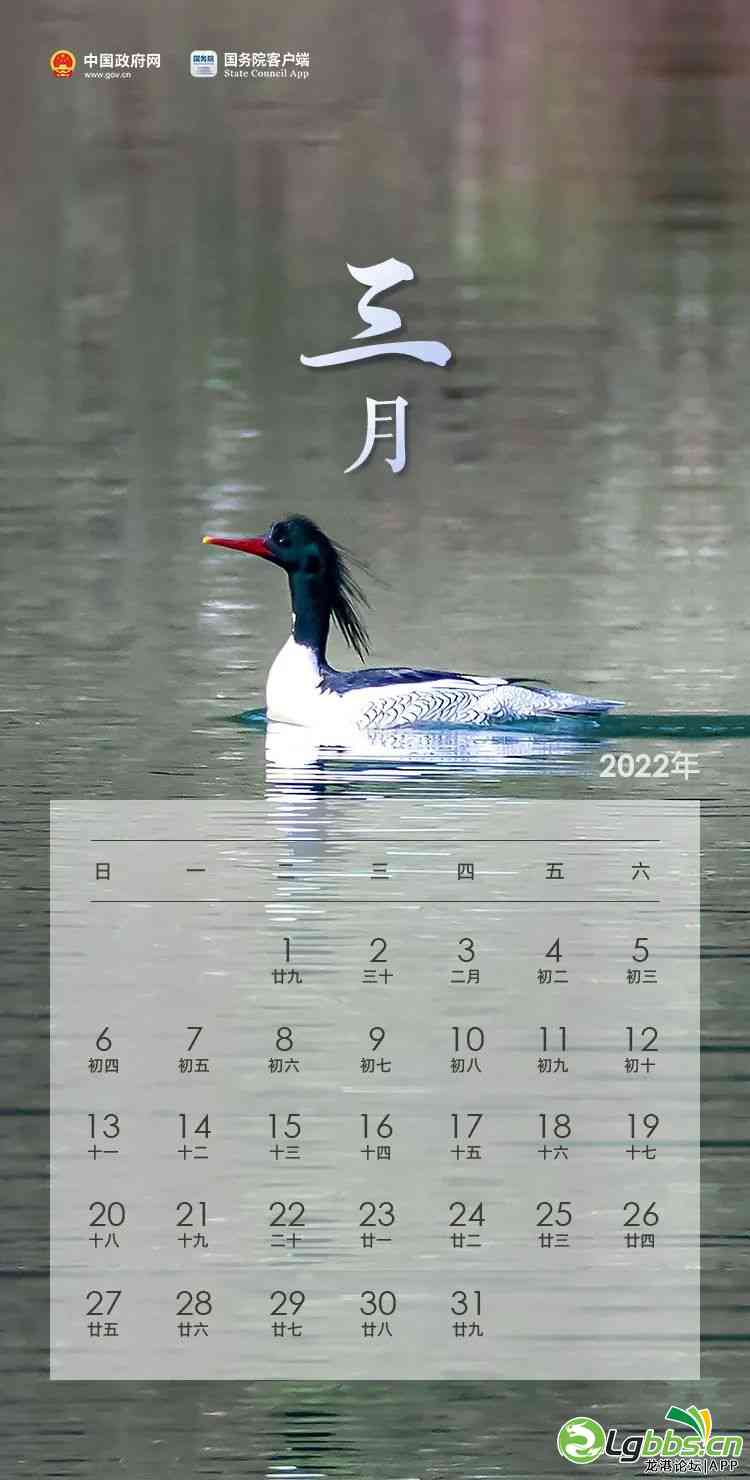 091151m9stpb5olyimmbip.jpeg