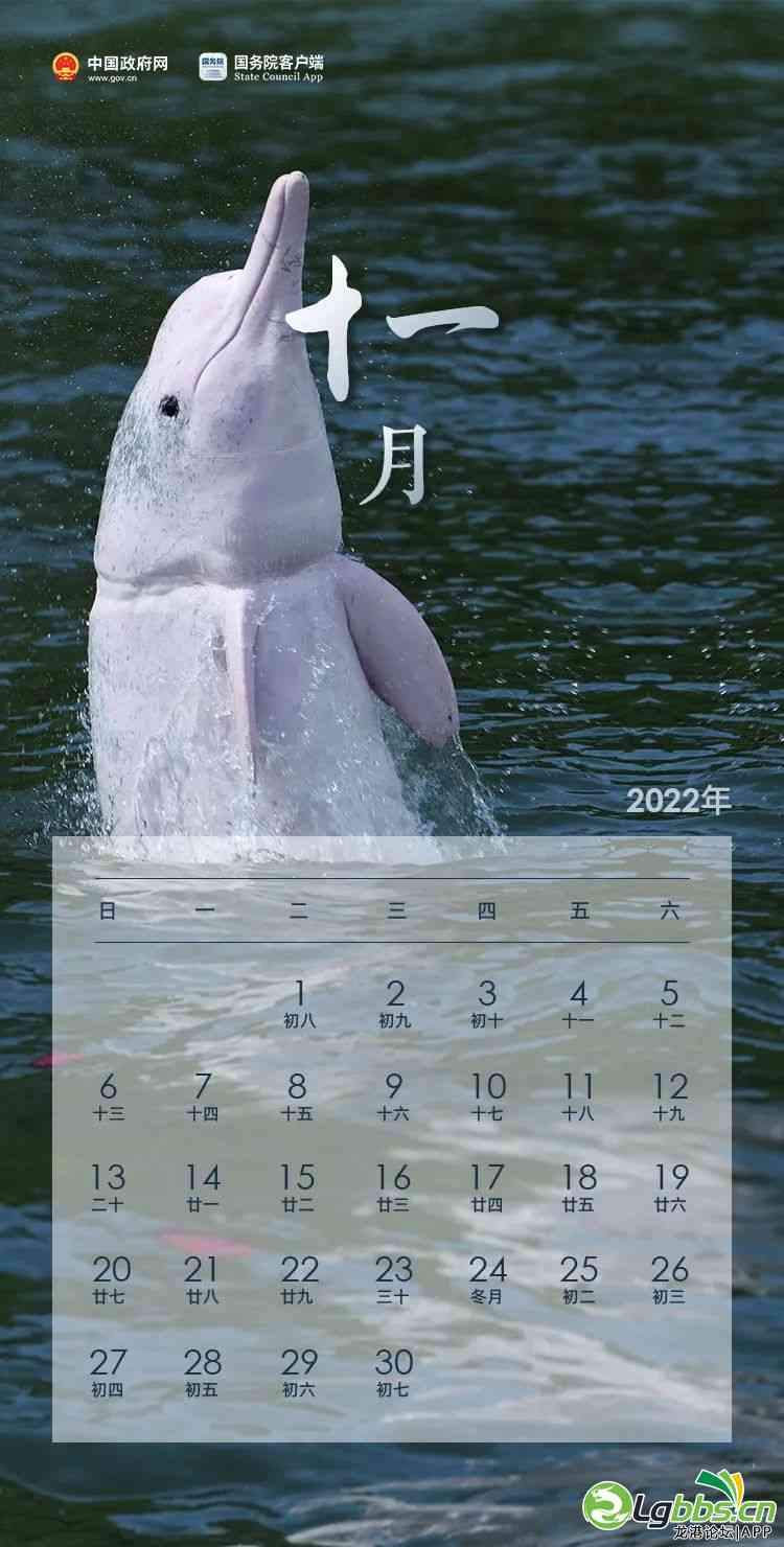 091151ym1mvbs6rb0j01bm.jpeg
