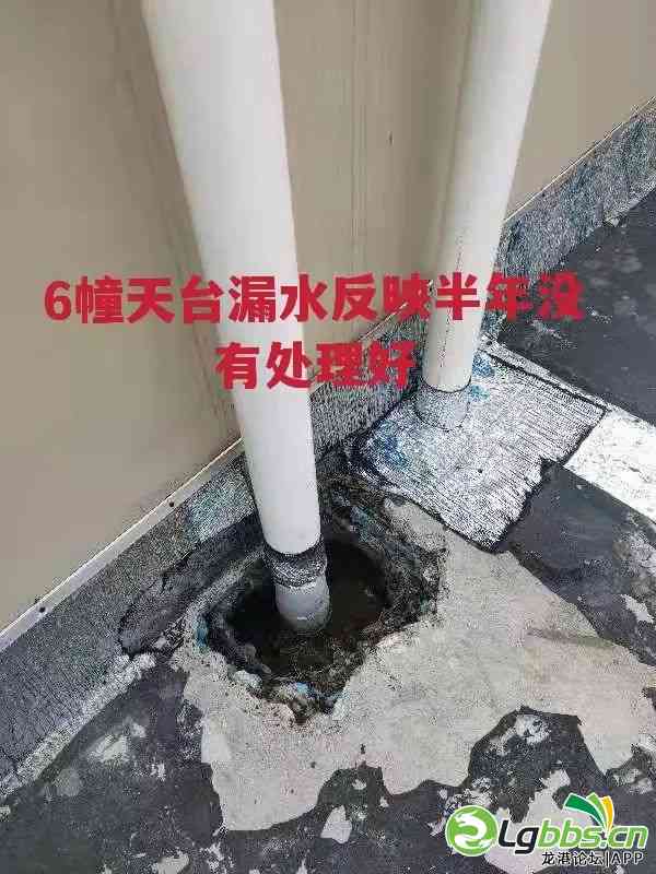 100230eq5g4gt616cgcw14.jpeg