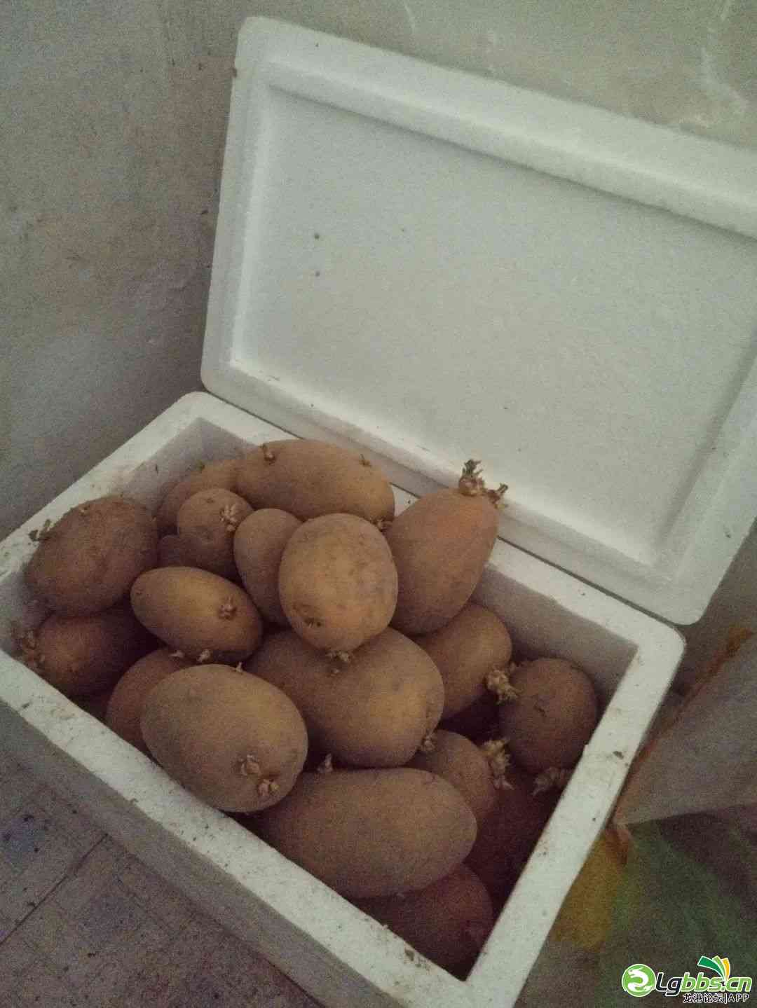 095742b848r8v96qwggga6.jpeg