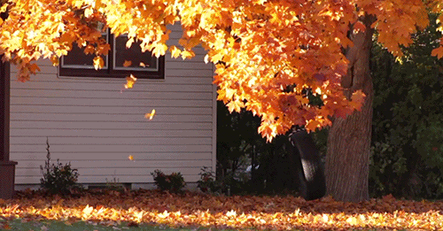 090624meq6w9e07ce3kw6j.gif