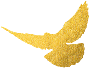 091424dv41ange6j1z1xrj.png