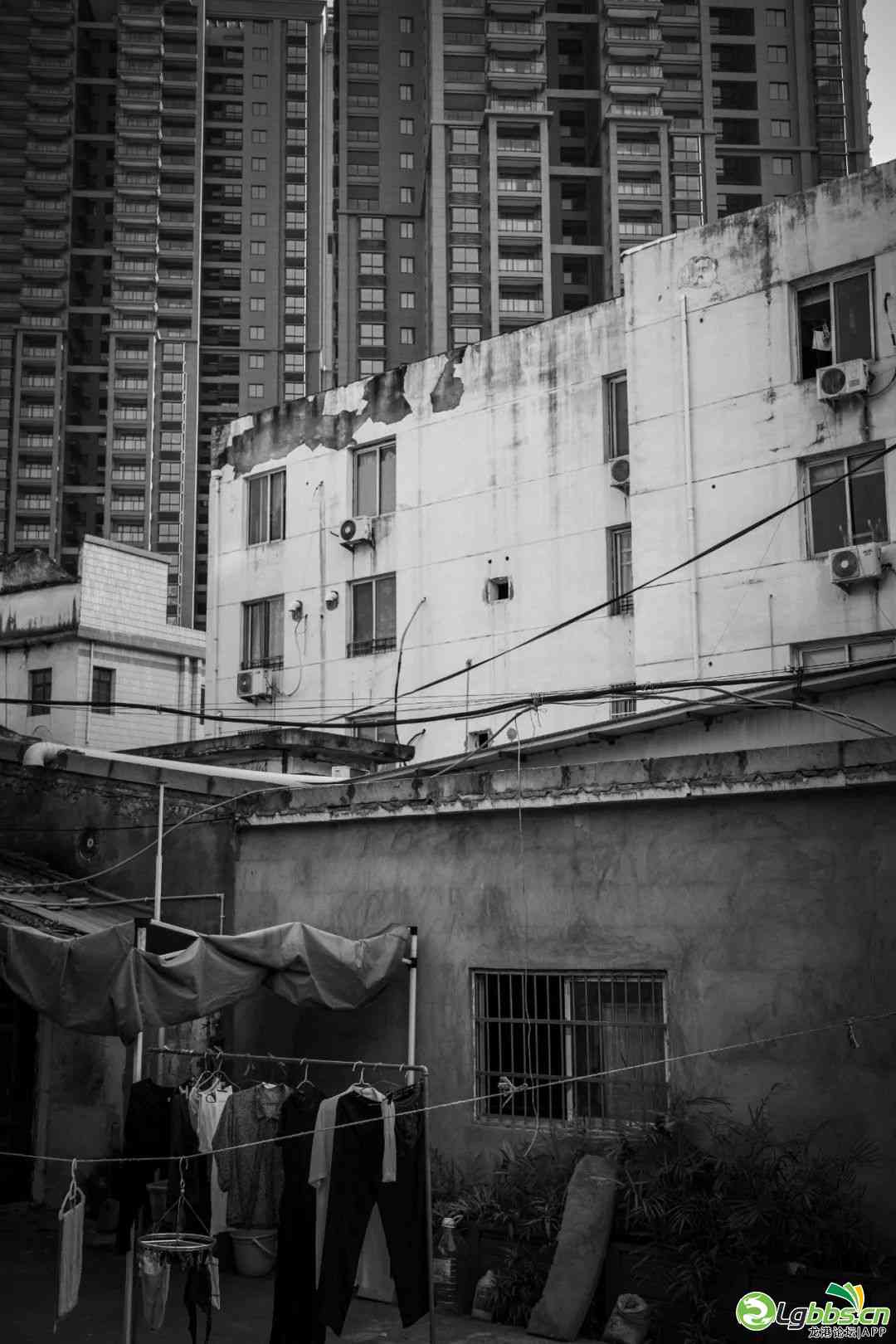 103253pgh45gnuh67ns5cn.jpeg