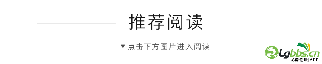 155636gmjilrxlq8681jck.png