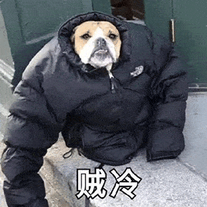 092647aqqgcwqxsssv4eqx.gif