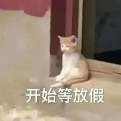 093105fpqhfpytyfp06zm2.jpeg