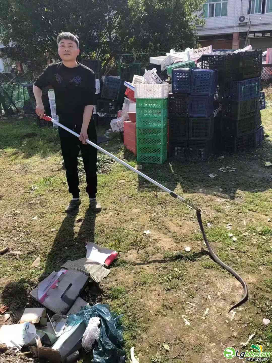 110358ipdc83a2e5d26zzx.jpeg