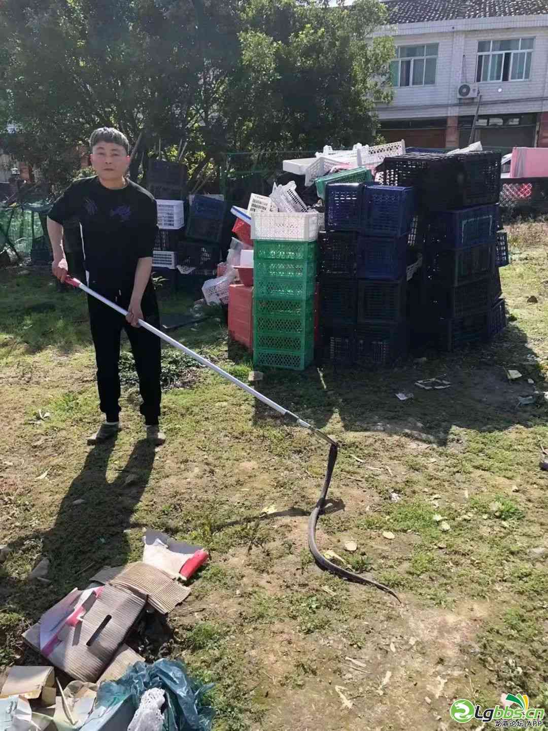 110358om803m8l8hh03m3n.jpeg
