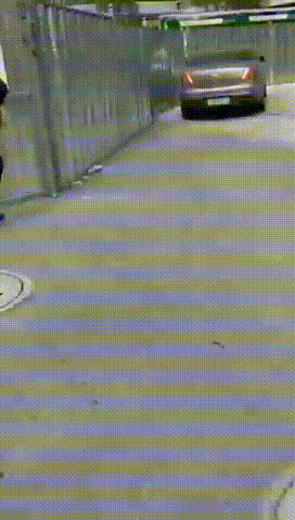 172745ro0jljgkahqhrk2l.gif