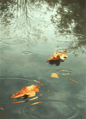 112621q6dltmxk7kgmg6yg.gif