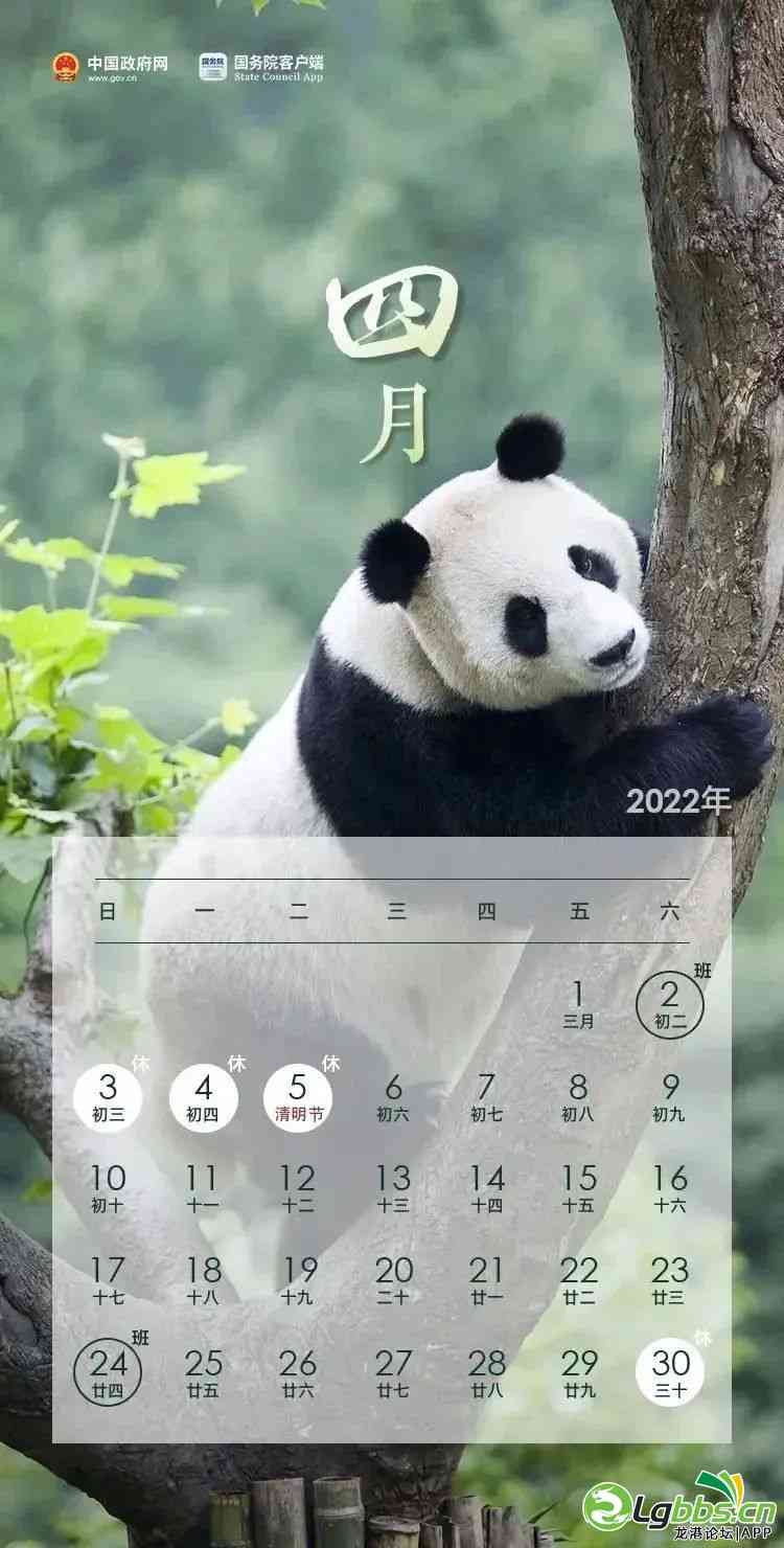 104837p3uqlbsseupujd0j.jpeg