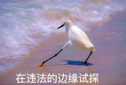 113534yj9ylg9zlr9ucgeh.jpeg
