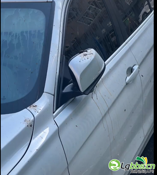 110851tce2wc684ts2278a.png