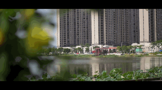 121914cfxx0fo27ooz3y0v.gif