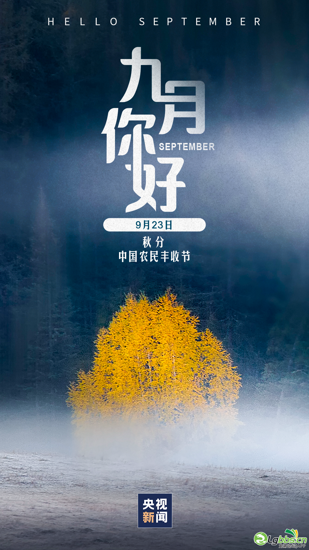 092158znp6g0kr220rrueu.png