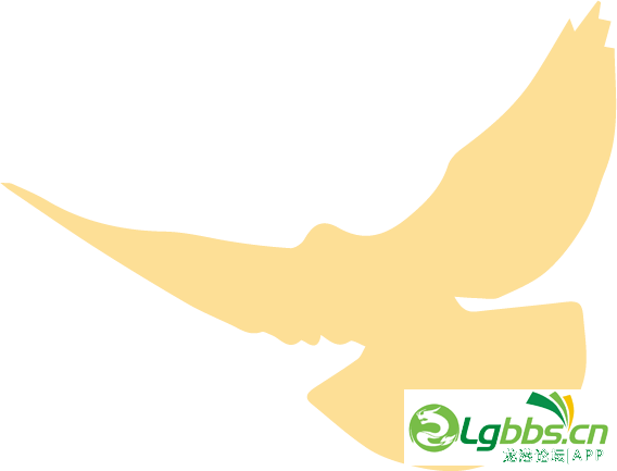 091414bc7k446gl6kwcqk7.png