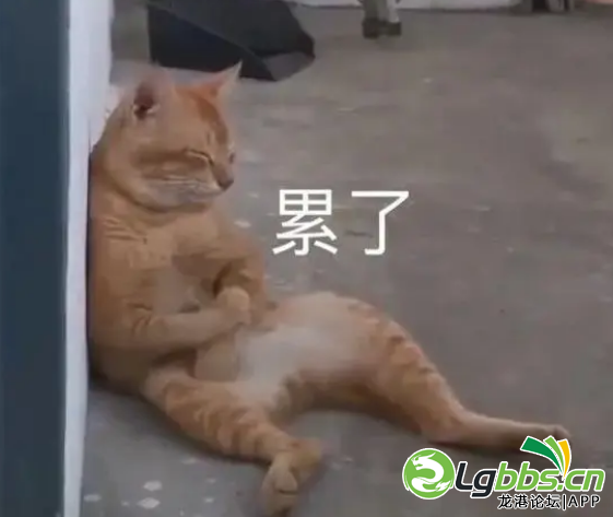 153521imyaxac4hh00ttcx.png