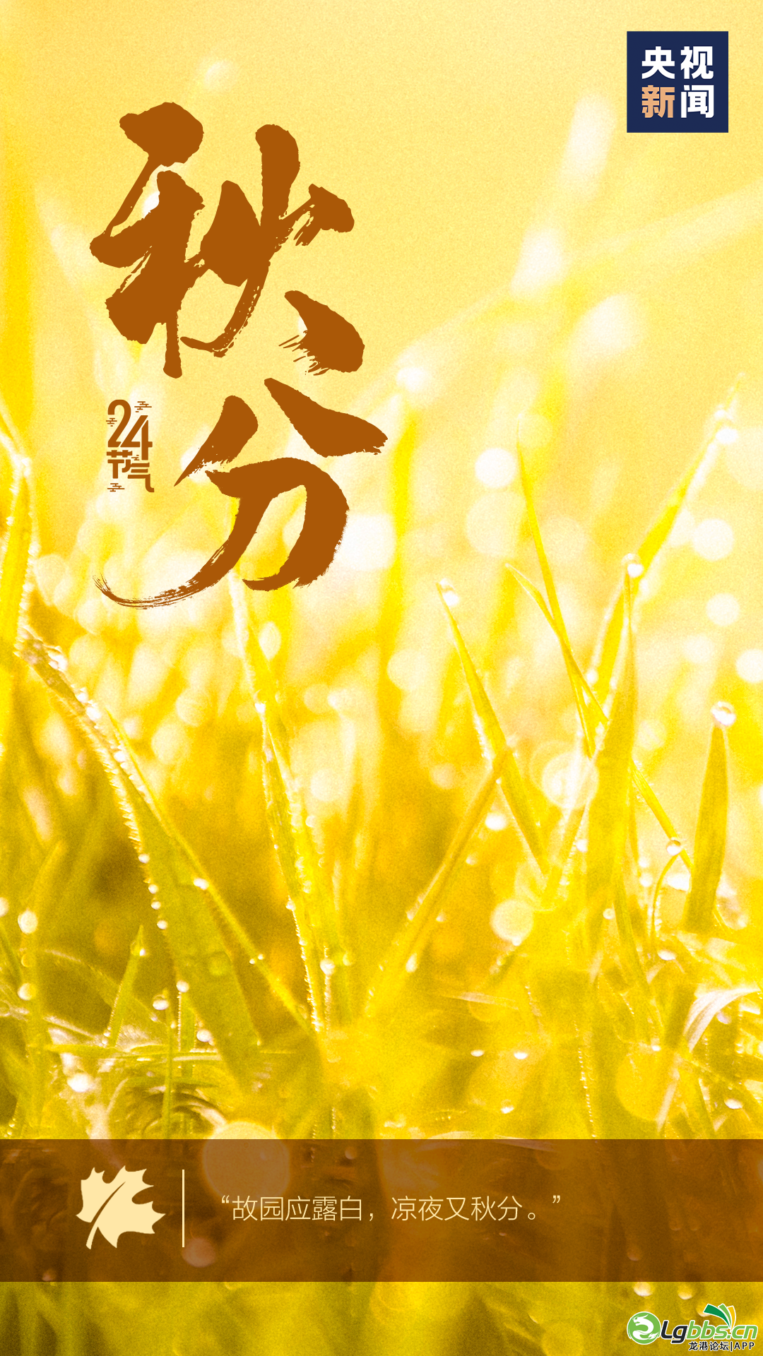 090438pz95f69ewfi3eem8.png