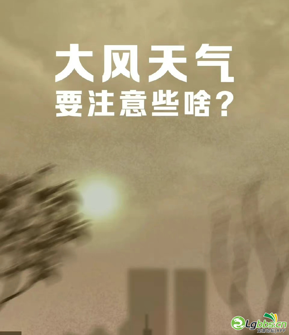 092746zaf56b4embnil77a.png