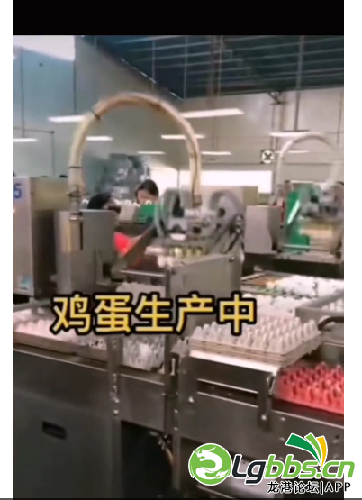 132127mxhquz9p7gp6zppc.png