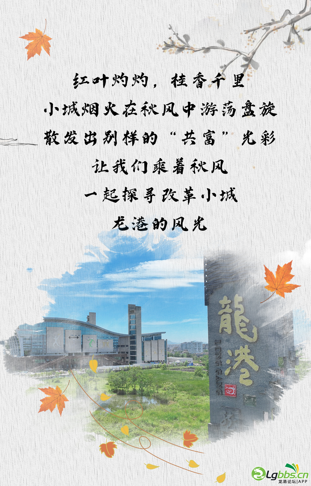 110433w5iwdw5gpww2dywy.png