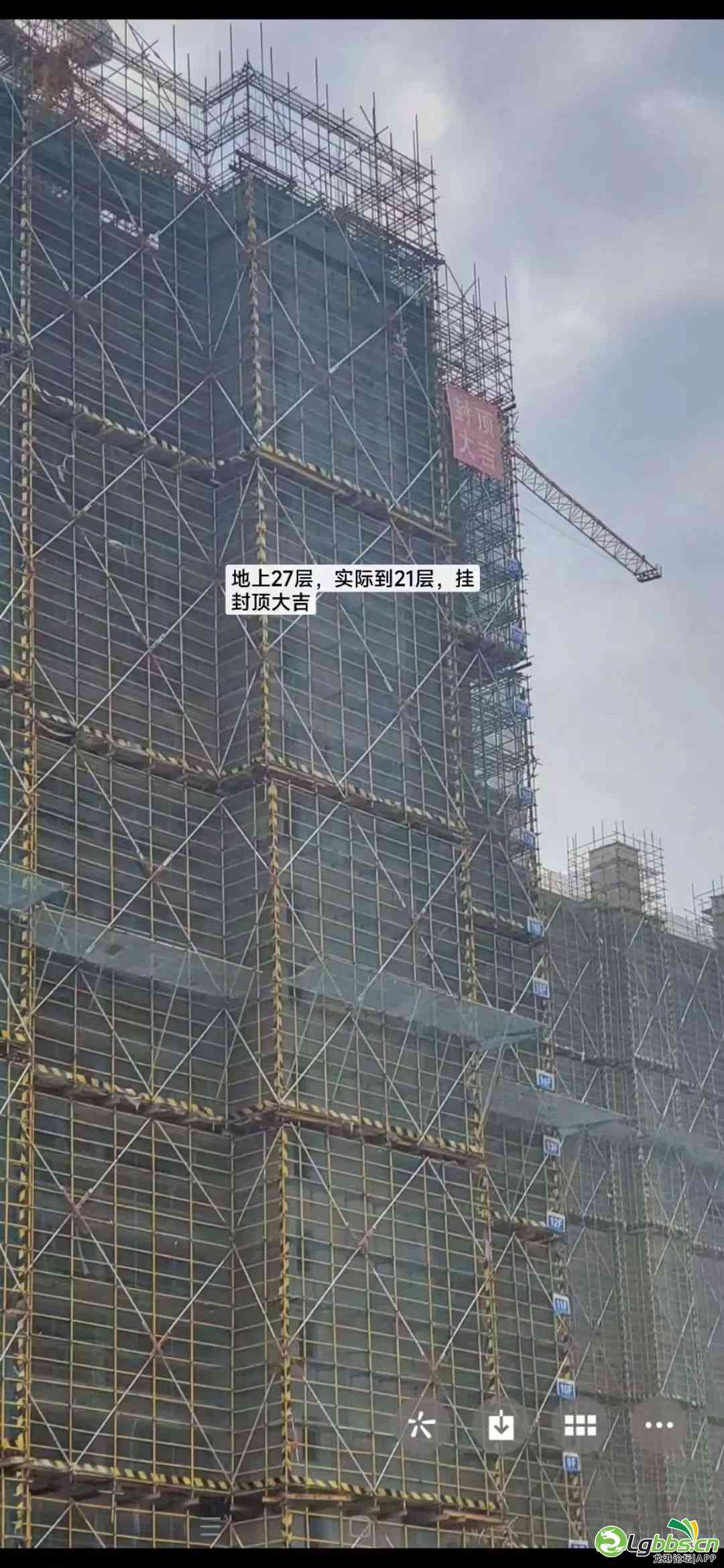 095733ldcbncd0y6zydd6y.jpeg
