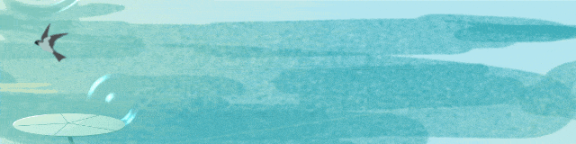 140815w0qwxgzc3jhzwq99.gif