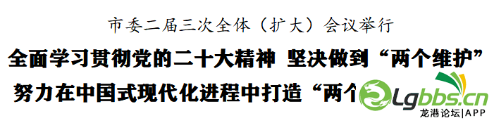 101634vxosoqj25q3pr2o2.png
