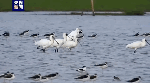 102313tfrq5q3f54345mz5.gif