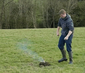 090053havze2bcz623za38.gif
