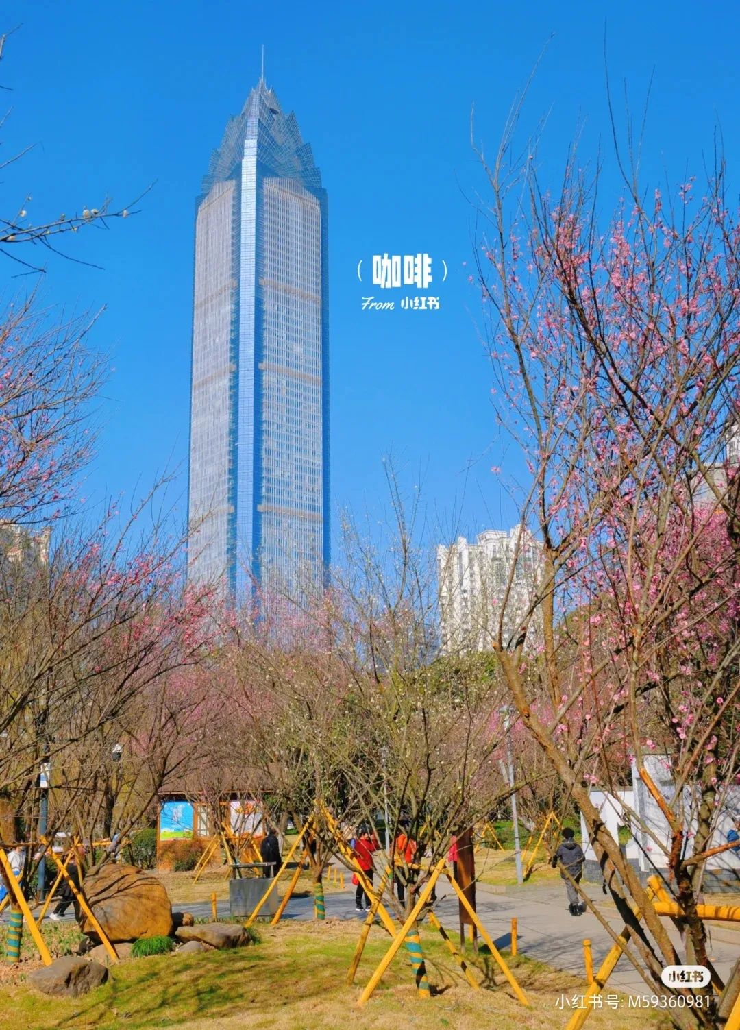 084101ticc506z24tc05ic.jpeg