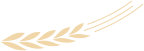083856laa2pp9rqp099rv0.png