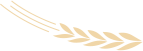 083857jg7fhdwznm6hbywc.png