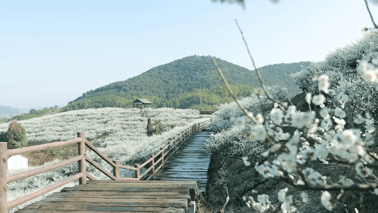 104122gn3zoz2mmn8b5mxk.gif