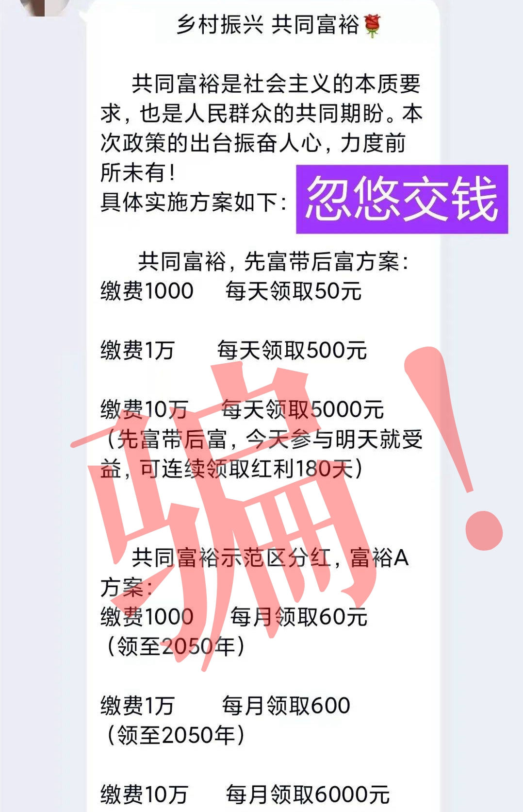 085113e81b88qr5qn17ekb.jpeg