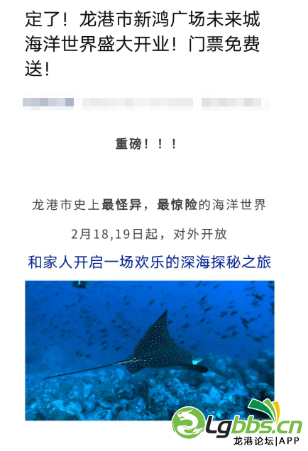 131844mqhn4f44xx6kxqf5.png