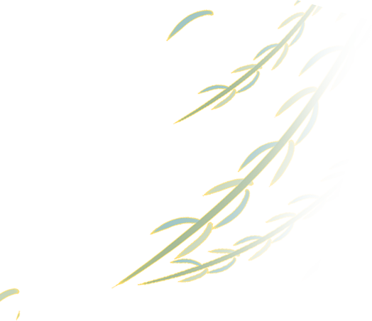 090027pynaioe2dednet5d.png