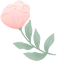 084053t8fgy32262f8v4zg.png