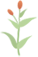 105659bzm7yoigu91rg9cv.png