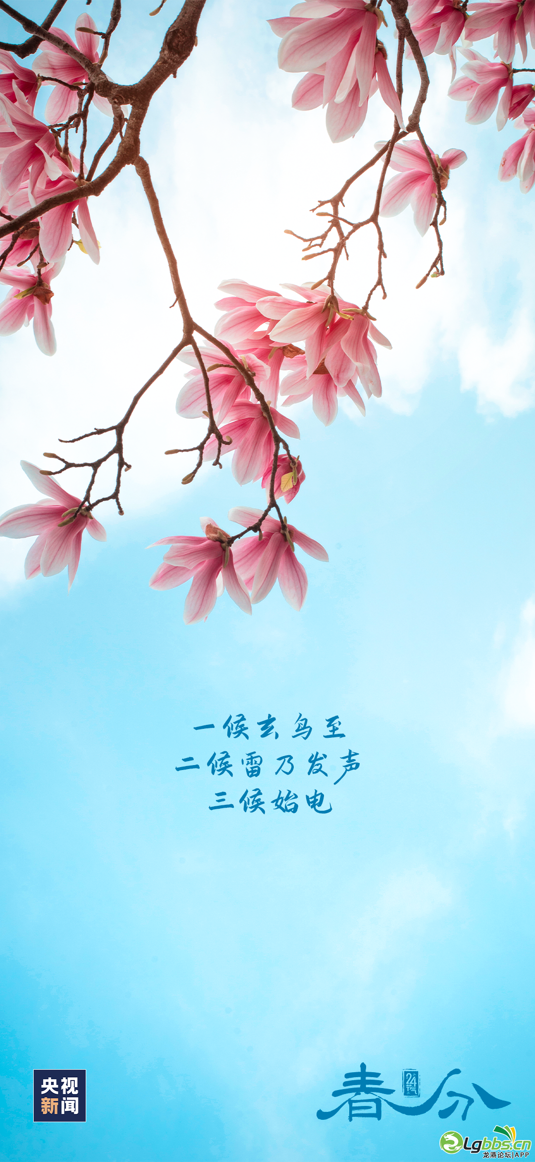 093559c685cu776w8k8utm.png