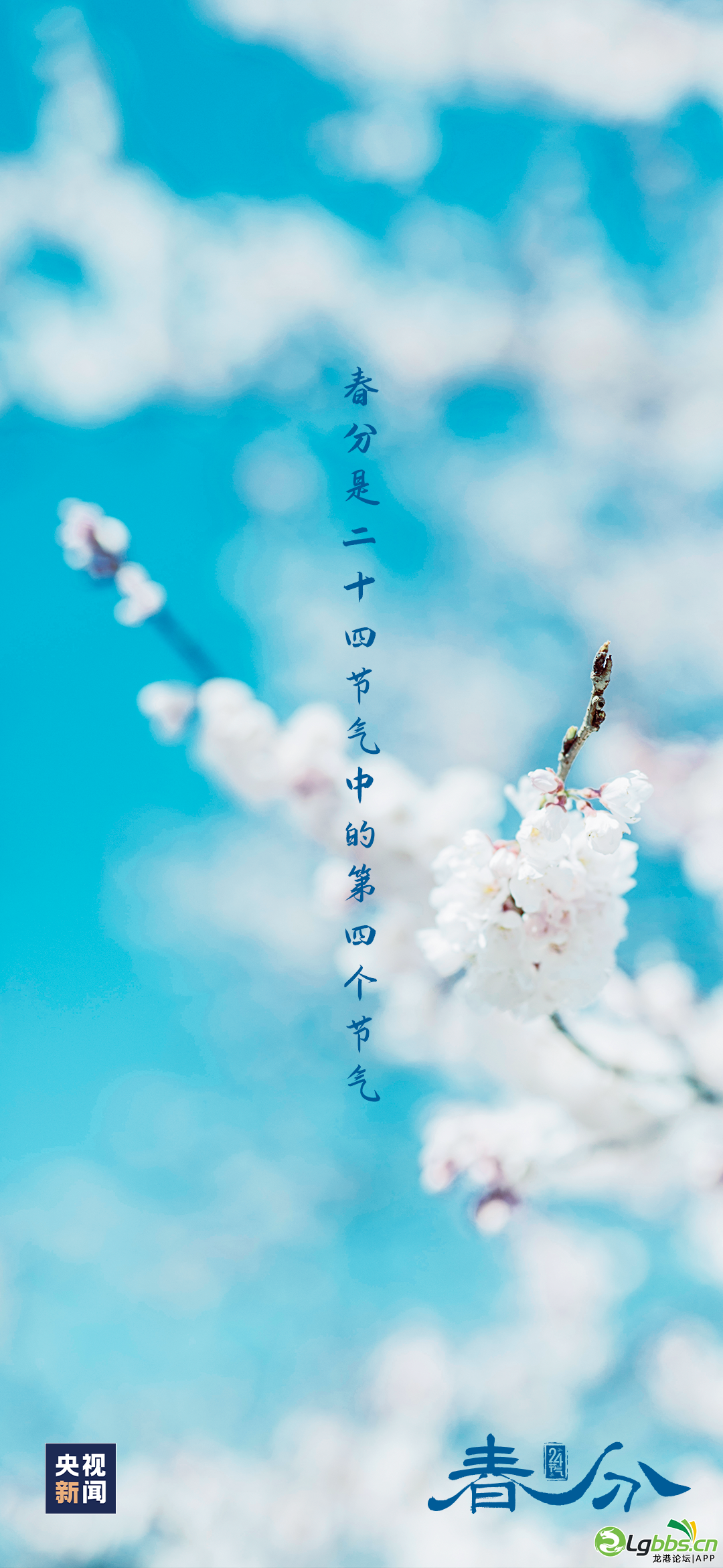 093559oifo9zqforypsfsr.png